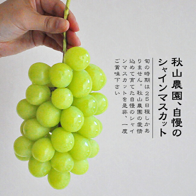 �������ॷ�㥤��ޥ����å�