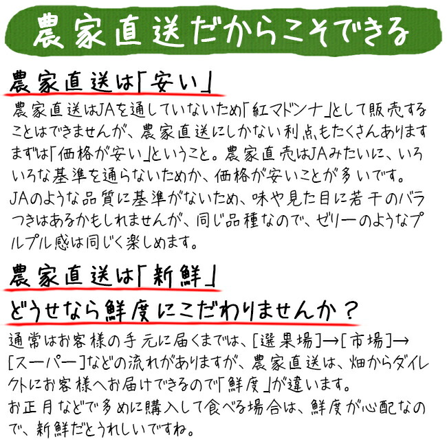 紅マドンナ（愛媛果試第28号）（訳あり）のお取り寄せ販売（通販）送料無料でお届け