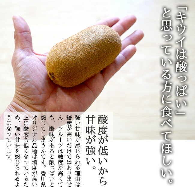 国産（香川産）キウイフルーツのお取り寄せ通販