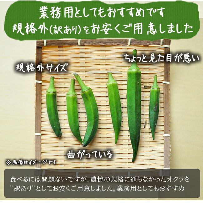 産地直送 農家直送 無農薬 訳あり オクラのお取り寄せ販売（通販