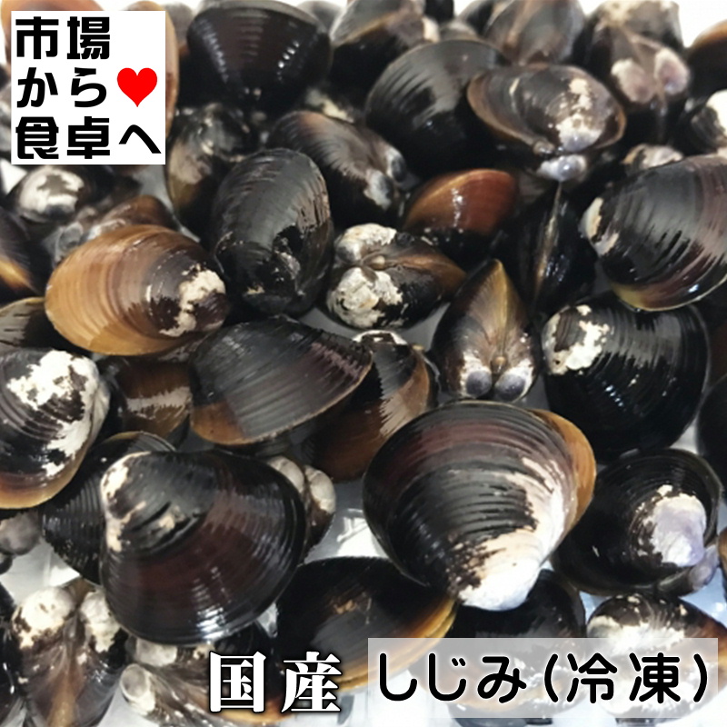 【宍道湖のしじみ】日本屈指のしじみの産地！品質が良い人気のシジミは？