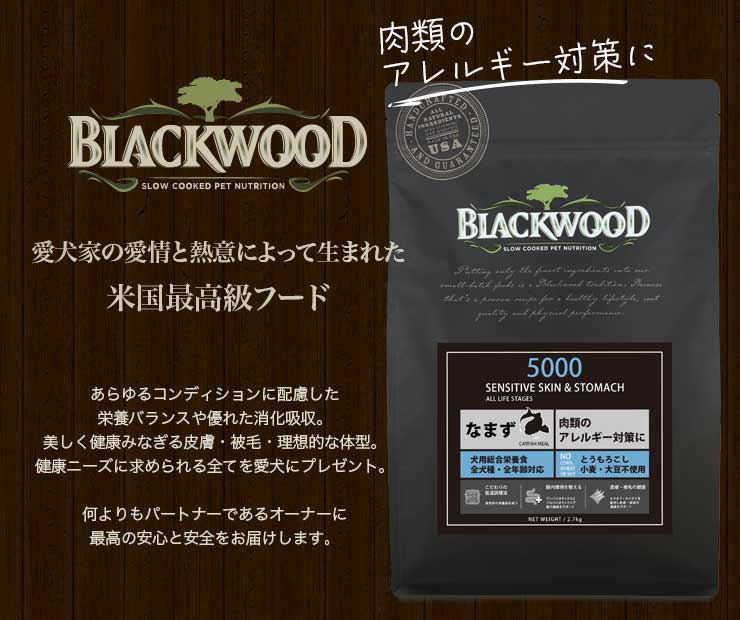 ブラックウッド5000ヘッダー