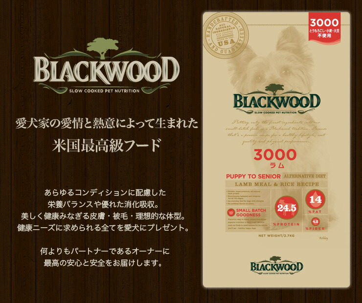 ブラックウッド3000ヘッダー