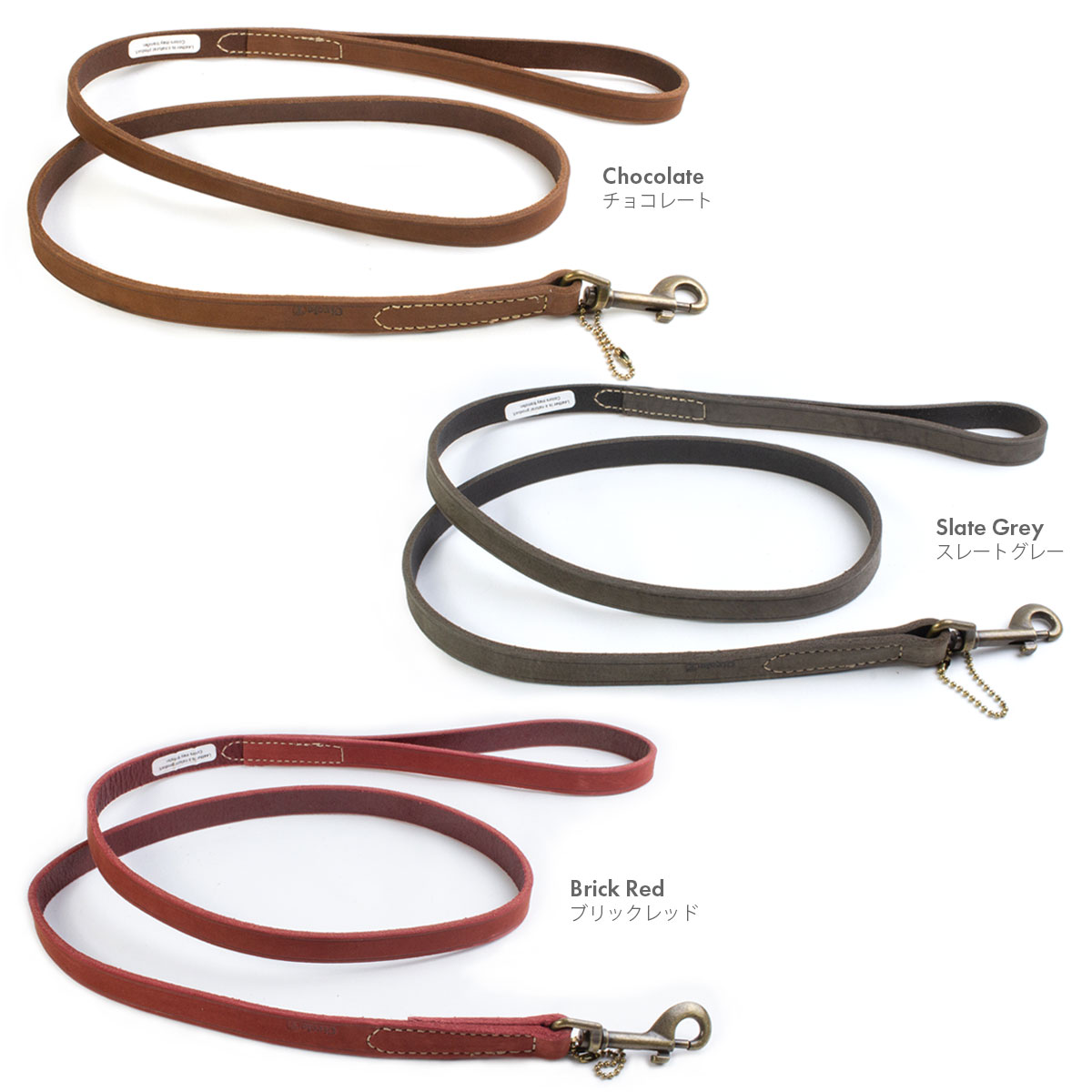 CoastalサークルTラスティックレザーリーシュ1.6cm幅×120cmカラーバリエーション