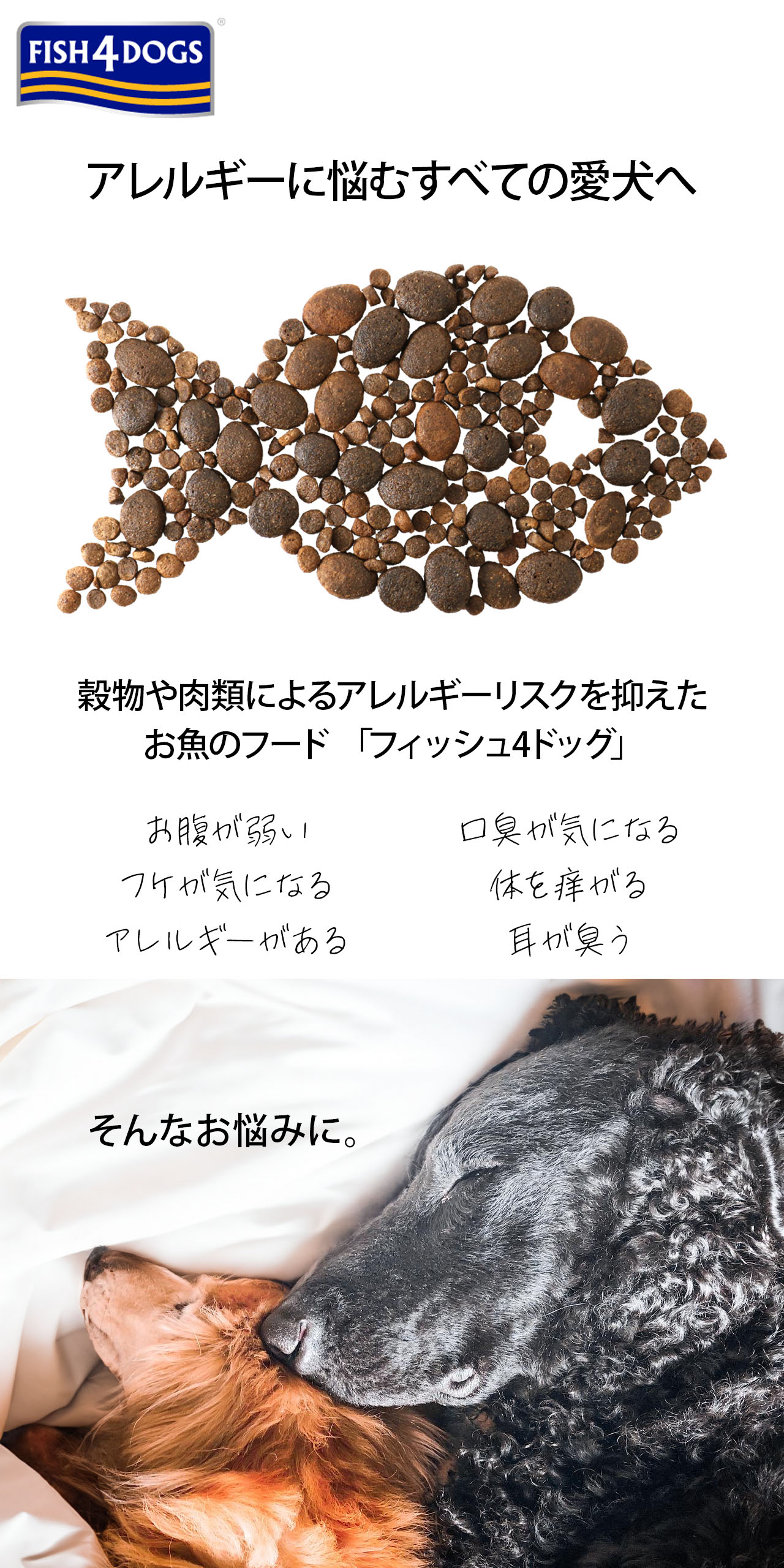 FISH4DOGフィッシュ4ドッグブランド紹介