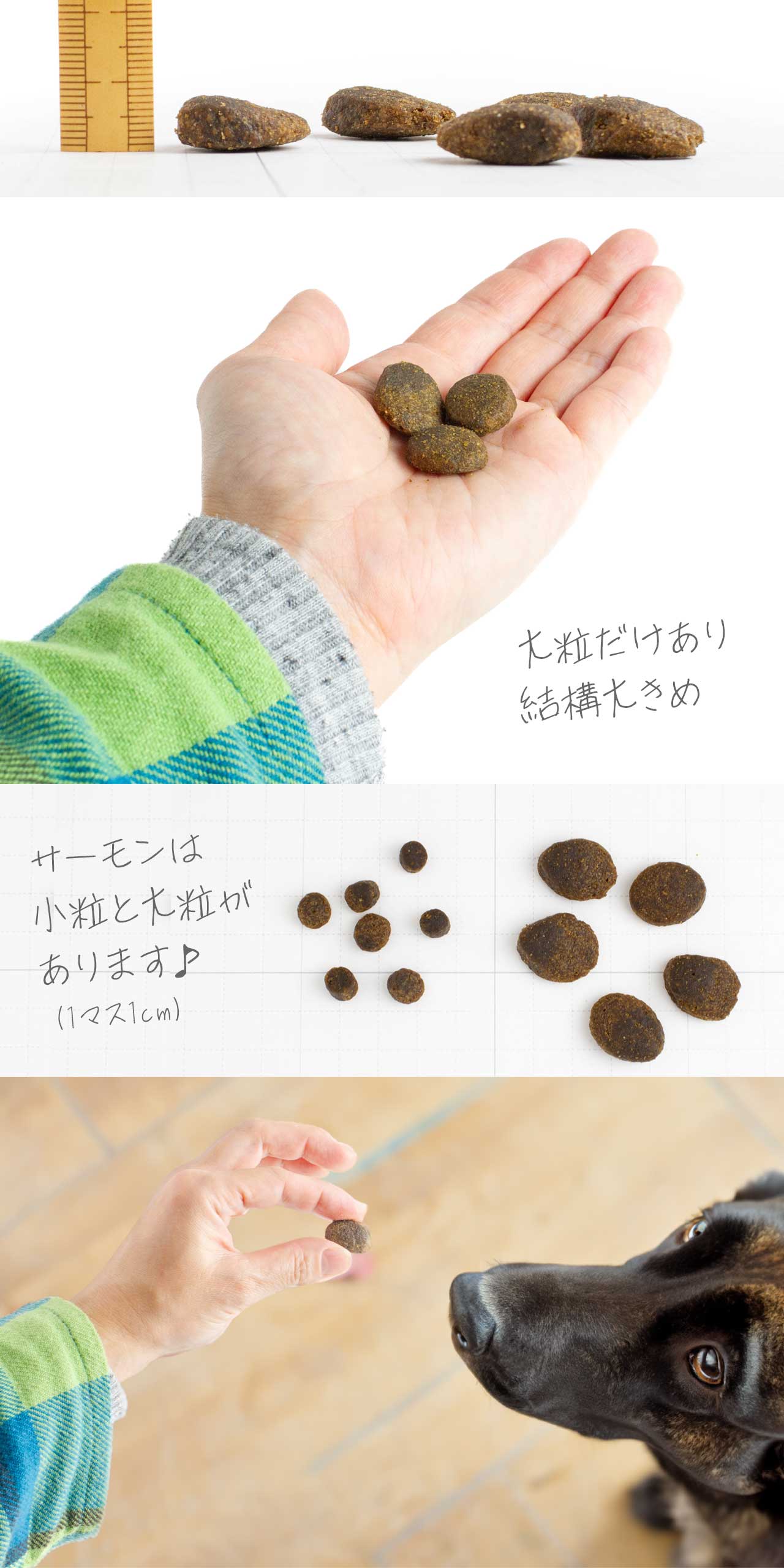 FISH4DOGフィッシュ4ドッグサーモン大粒説明