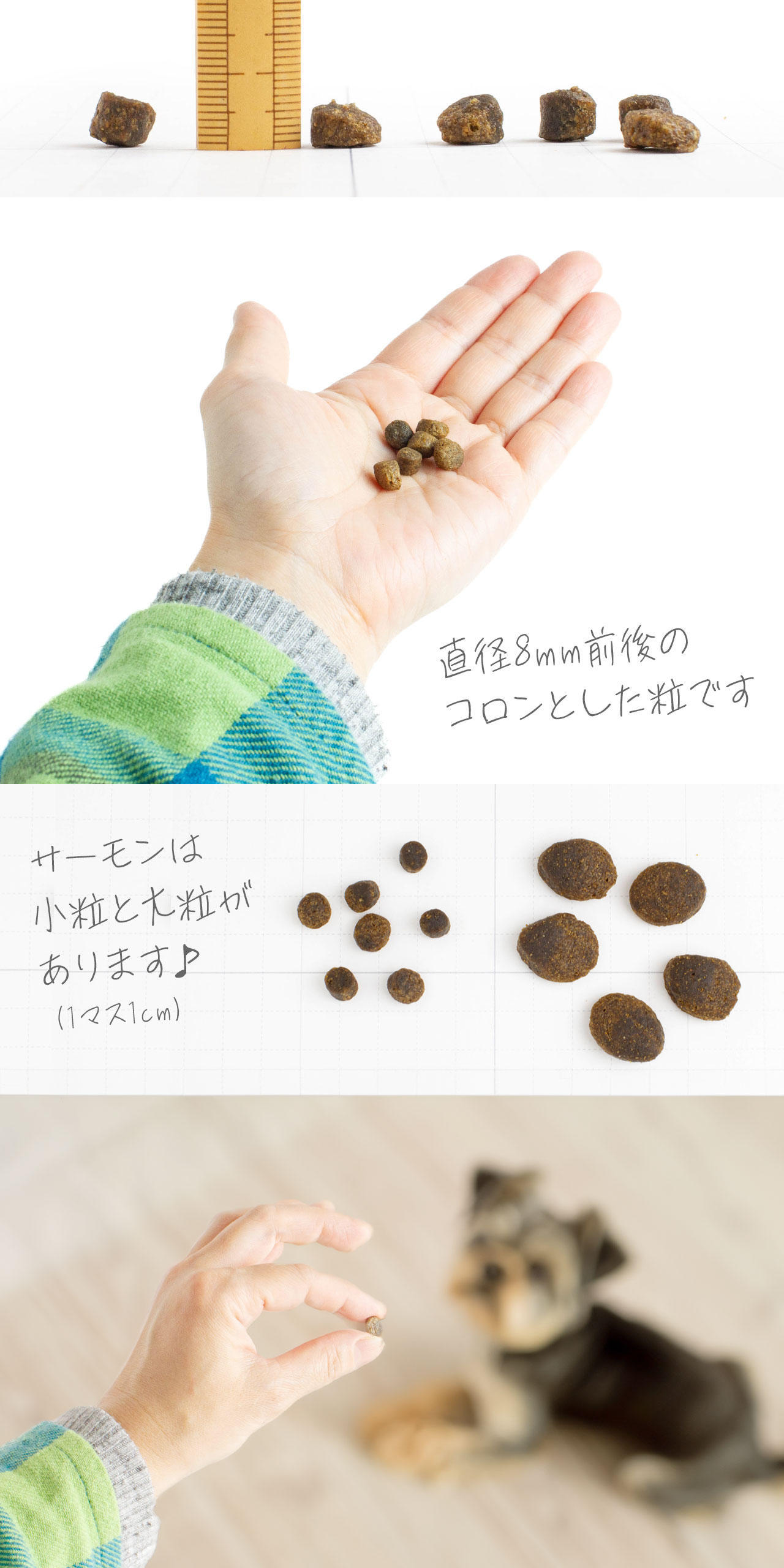 FISH4DOGフィッシュ4ドッグサーモン小粒説明
