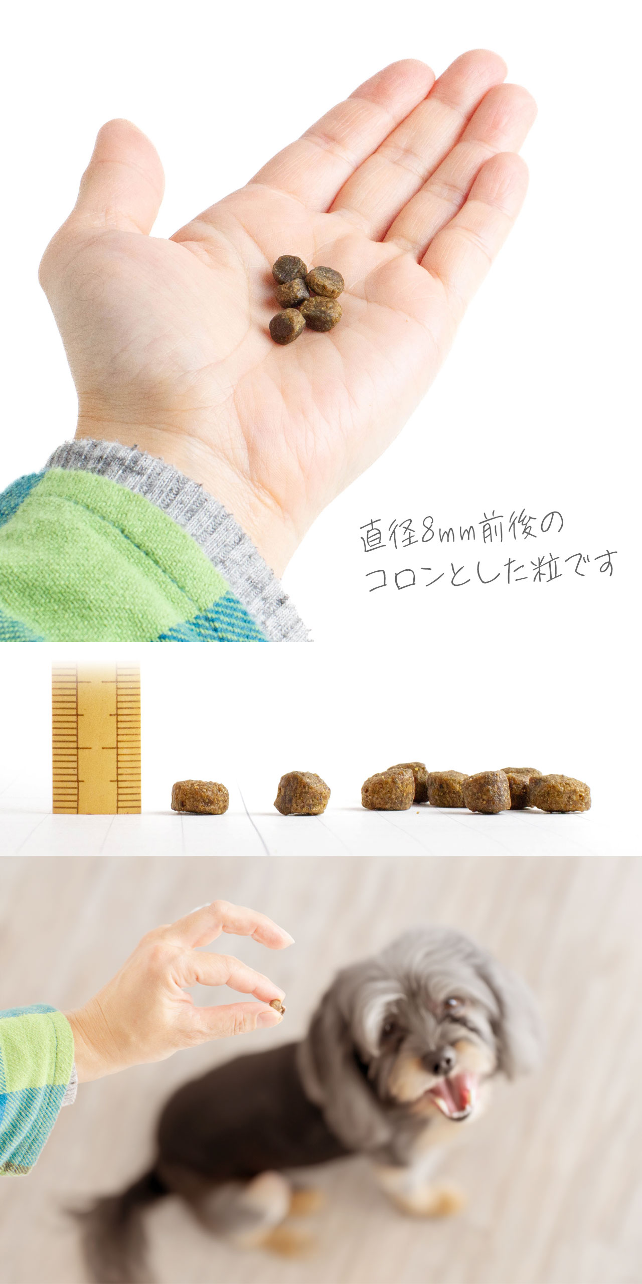 FISH4DOGフィッシュ4ドッグサーモンシニア小粒説明