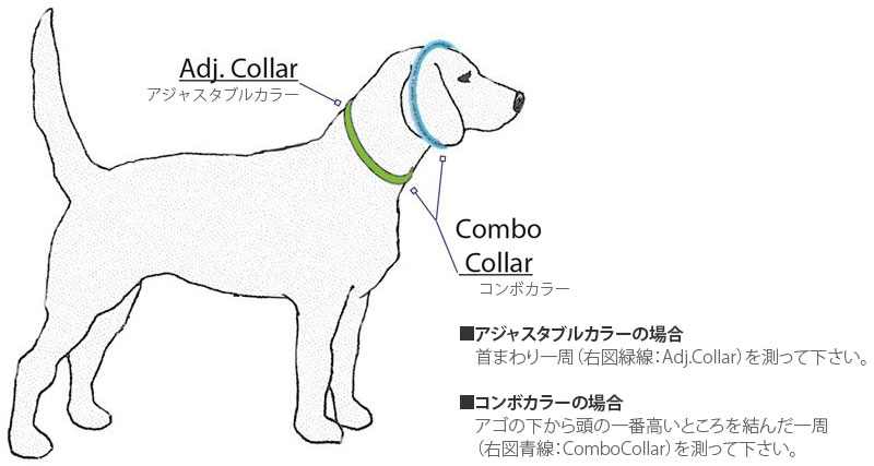 ルパイン首輪サイジングガイド