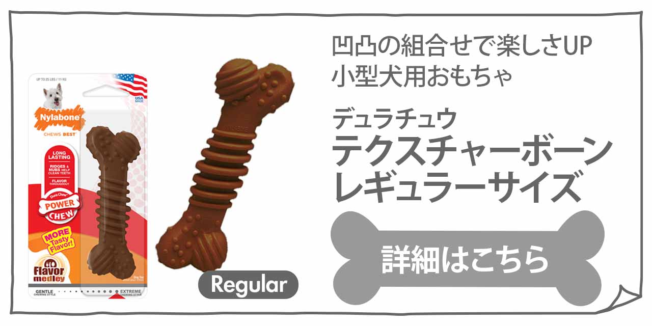 テクスチャーボーンレギュラー