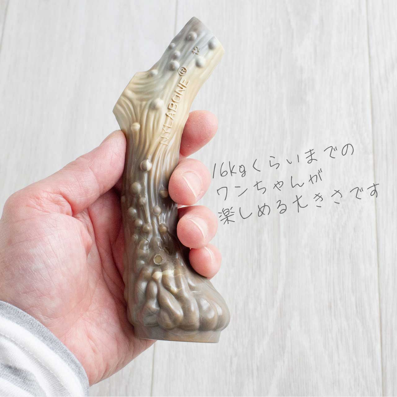 ナイラボーン アントラー オルタナティブ M