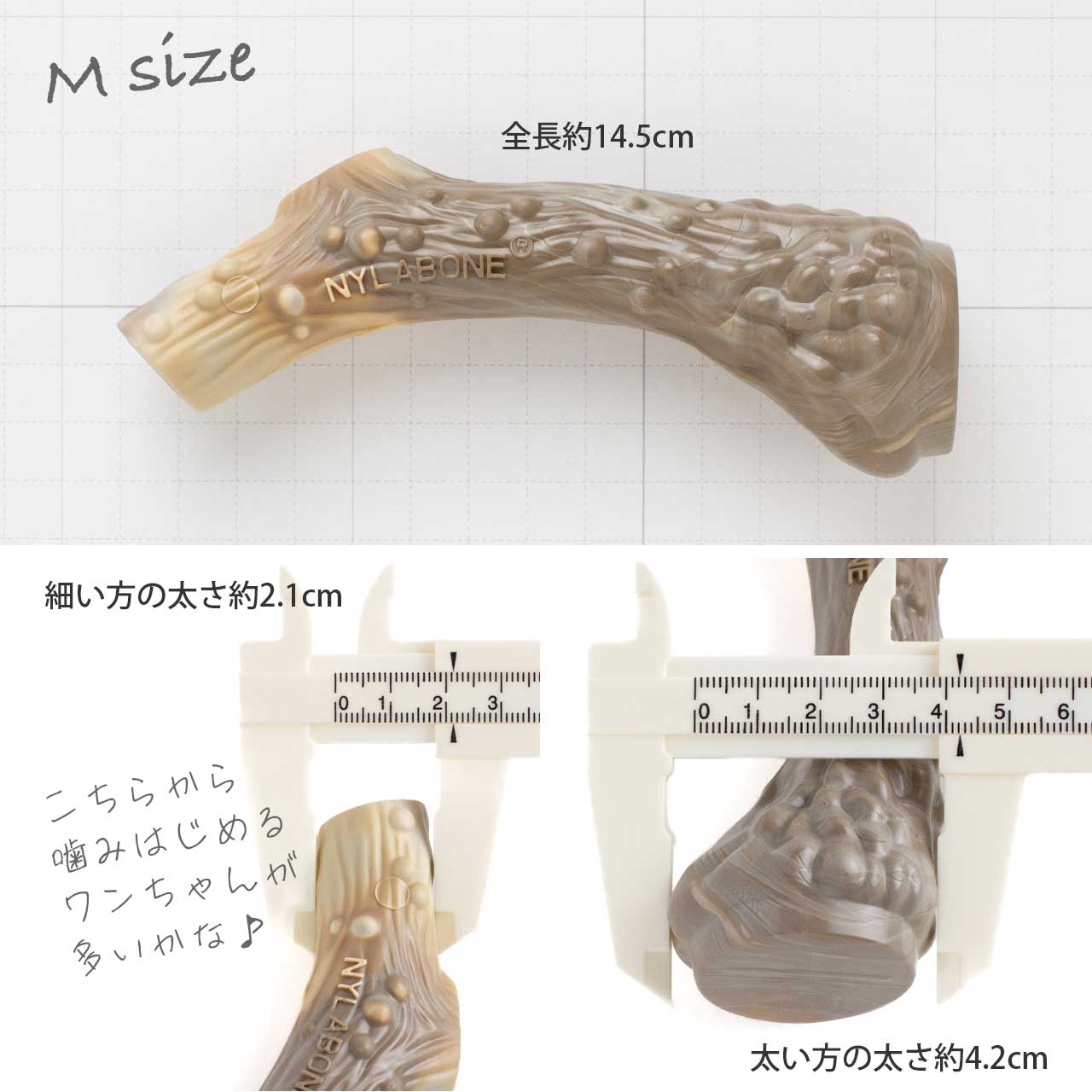 ナイラボーン アントラー オルタナティブ M