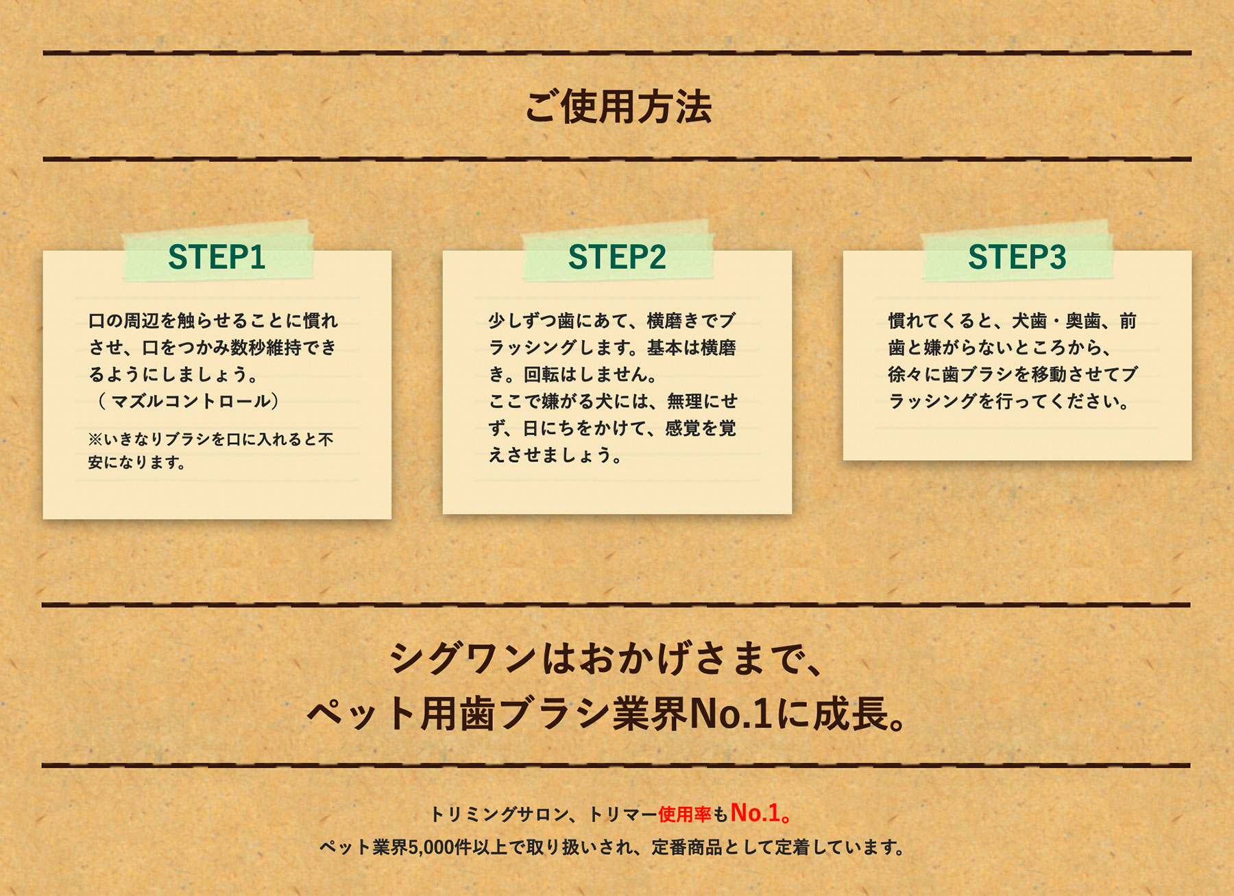 シグワン コンパクト歯ブラシ説明3