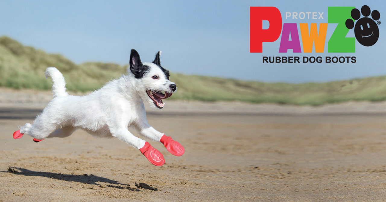 PawzSレッド走る犬