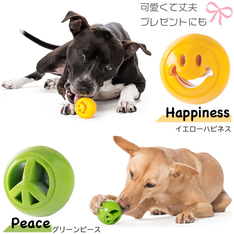 プラネットドッグnooksヌック