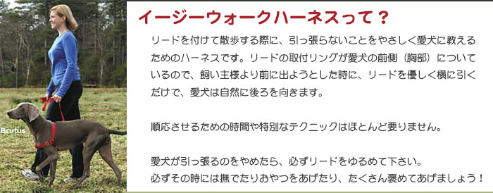 イージーウォークハーネスって?