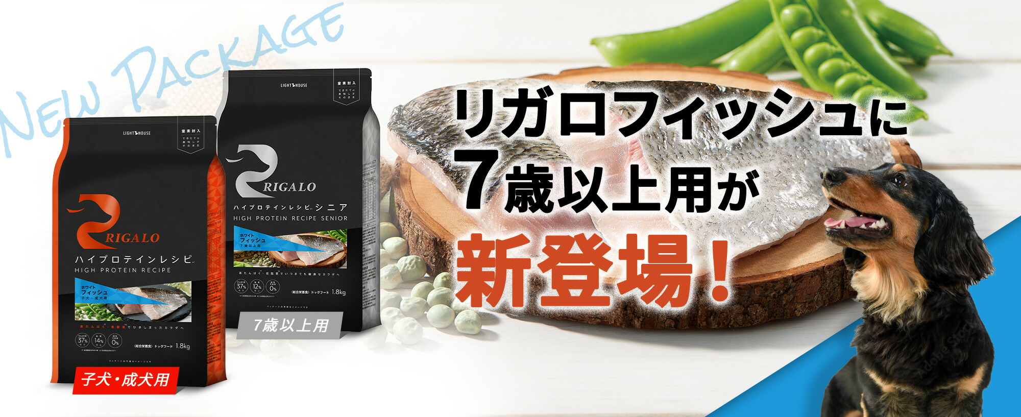 リガロシニアフィッシュ登場