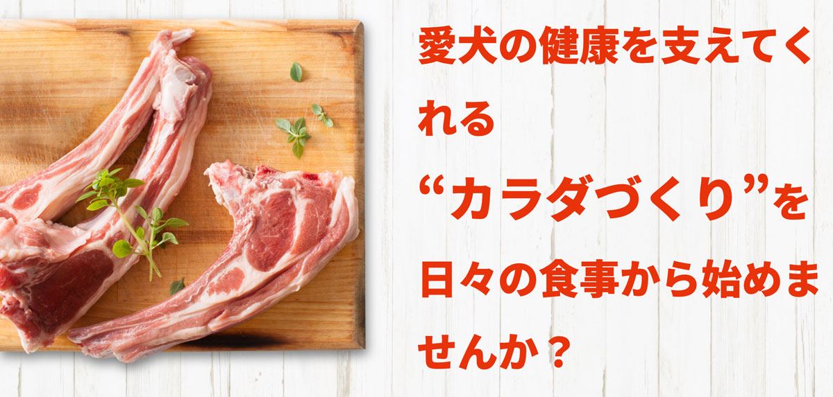 リガロブランドヘッダー