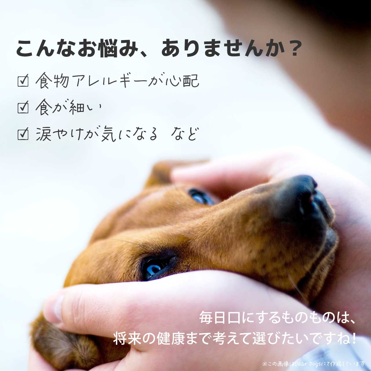 ソルビダ