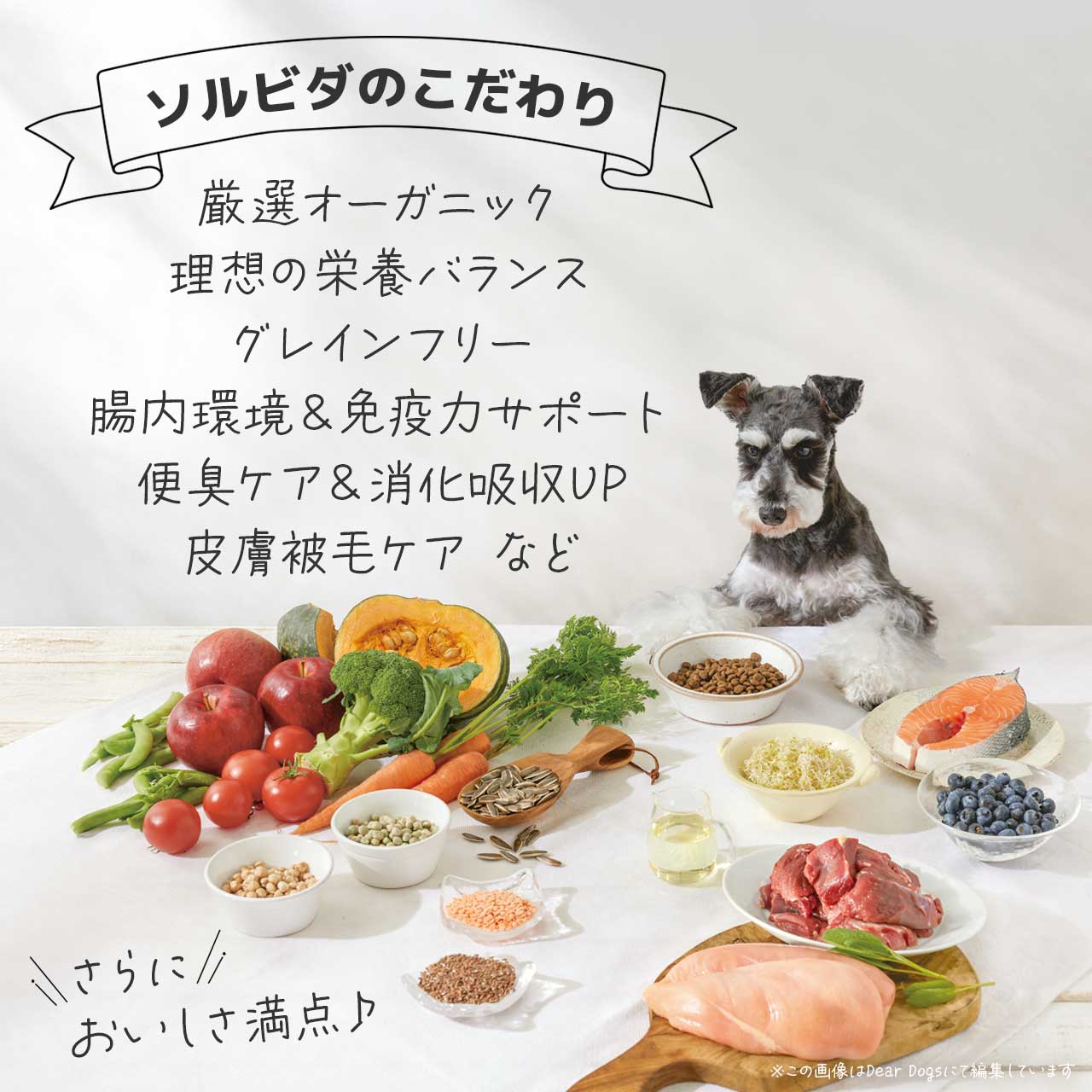 ソルビダ