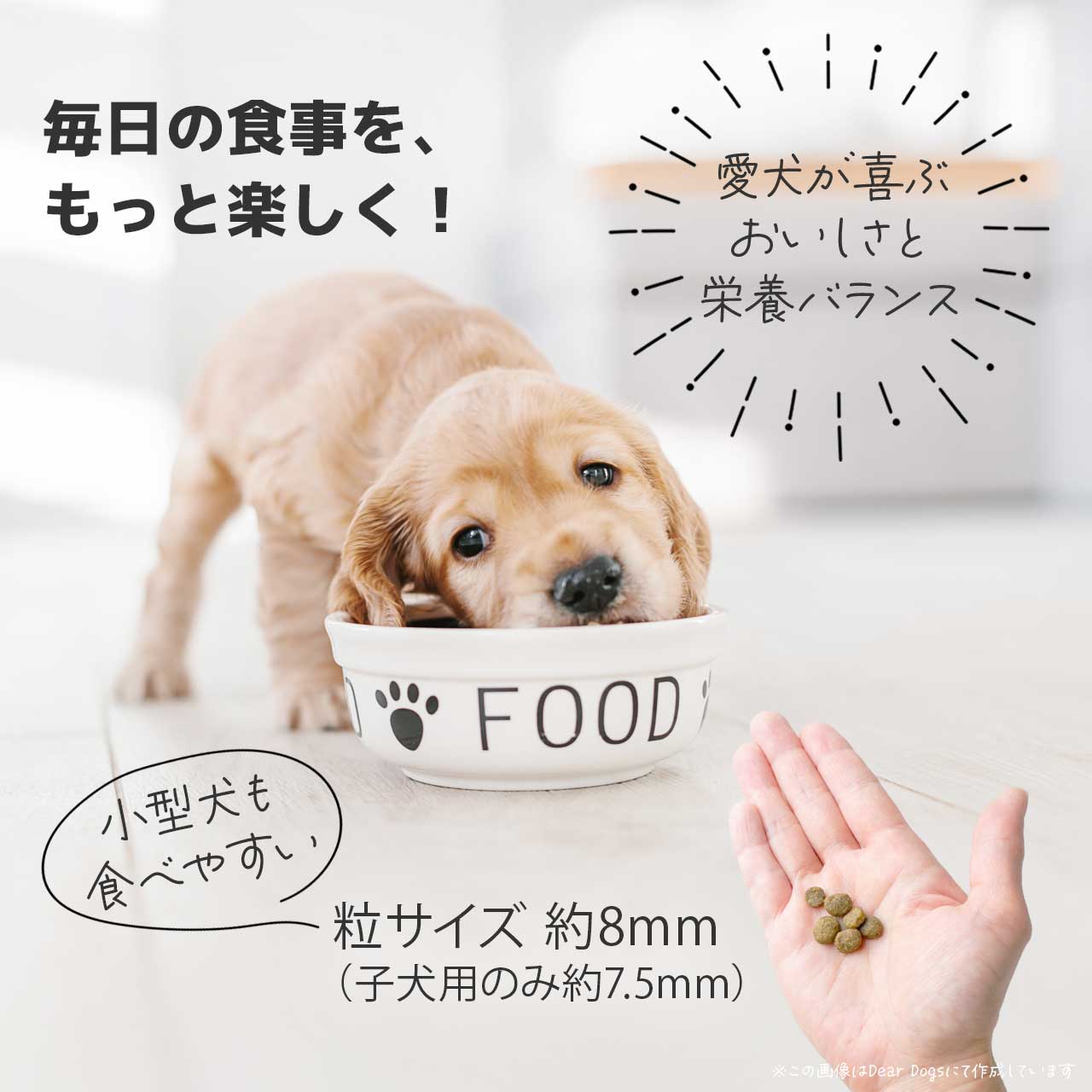 ソルビダ