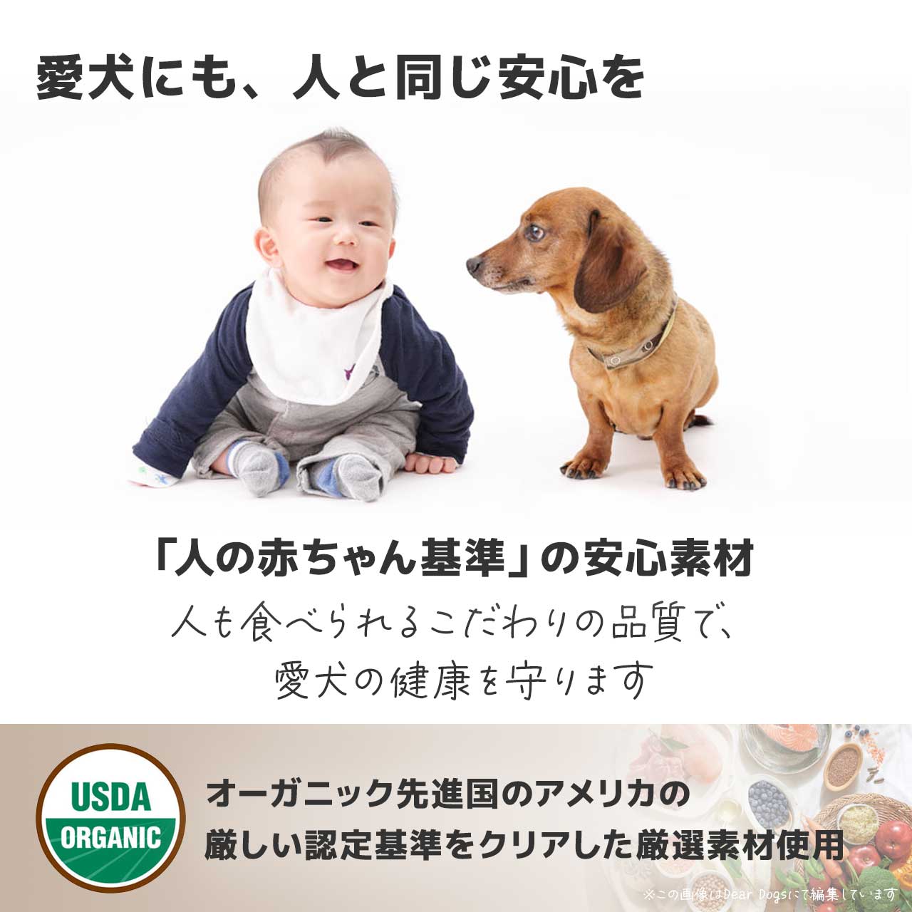 ソルビダ
