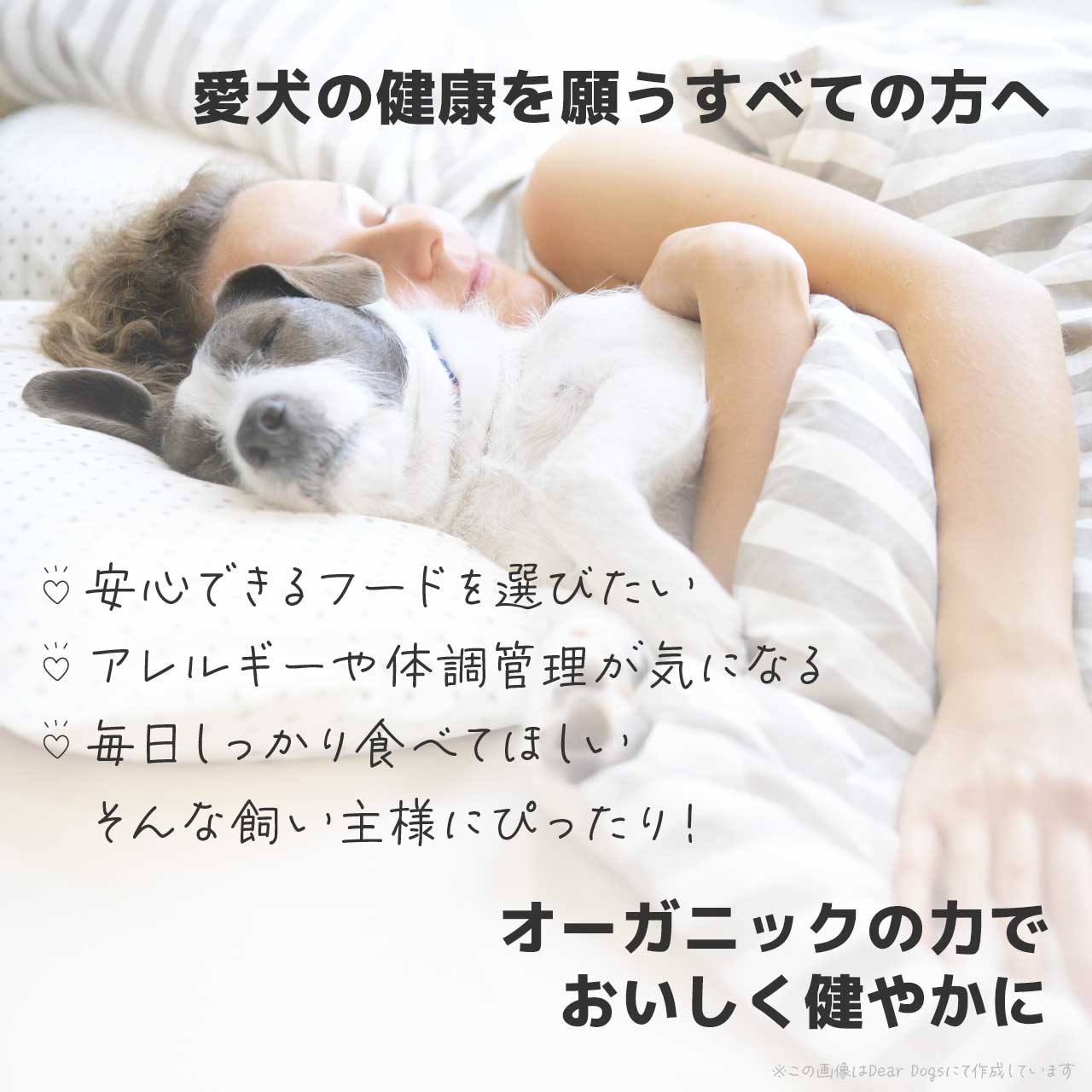 ソルビダ