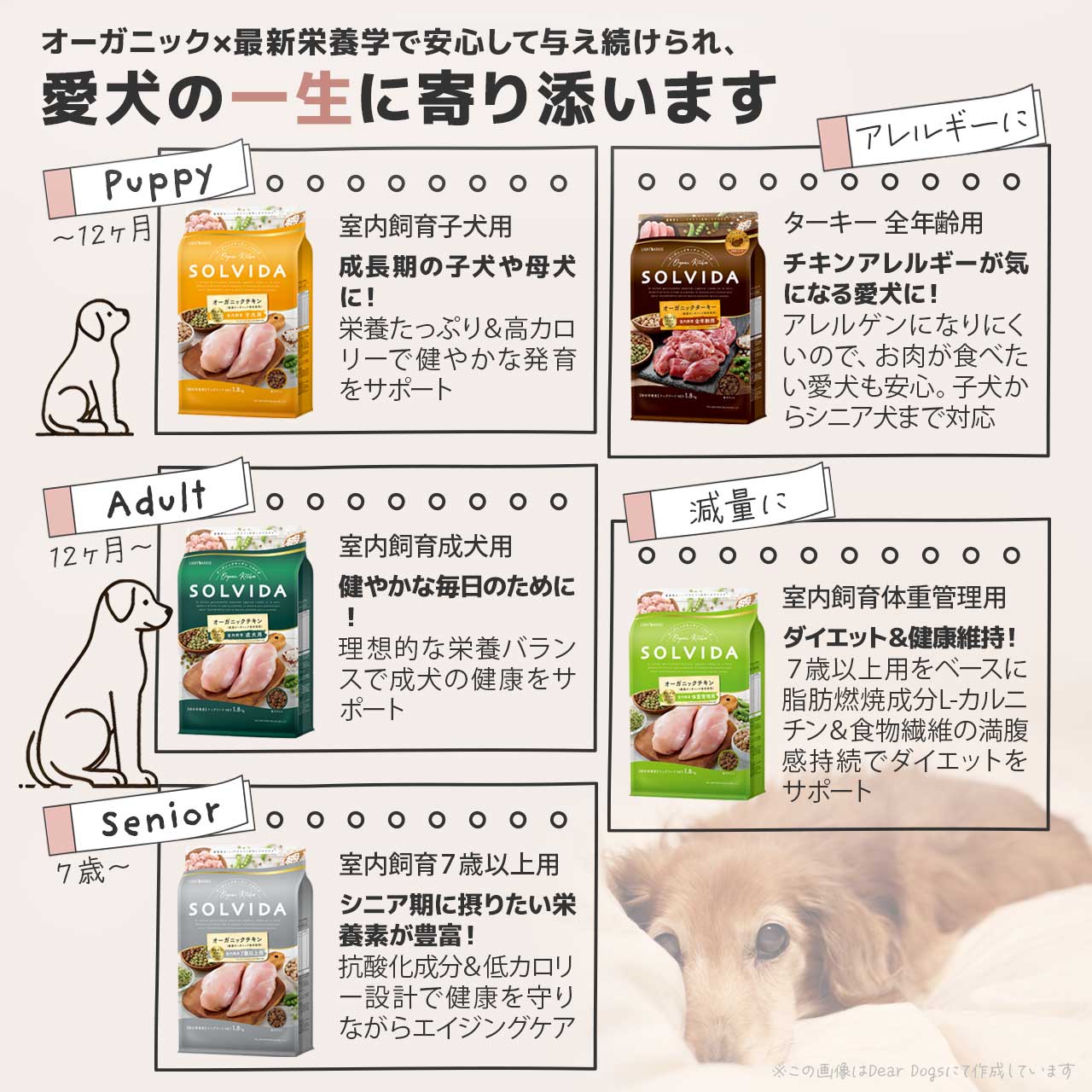 種類一覧