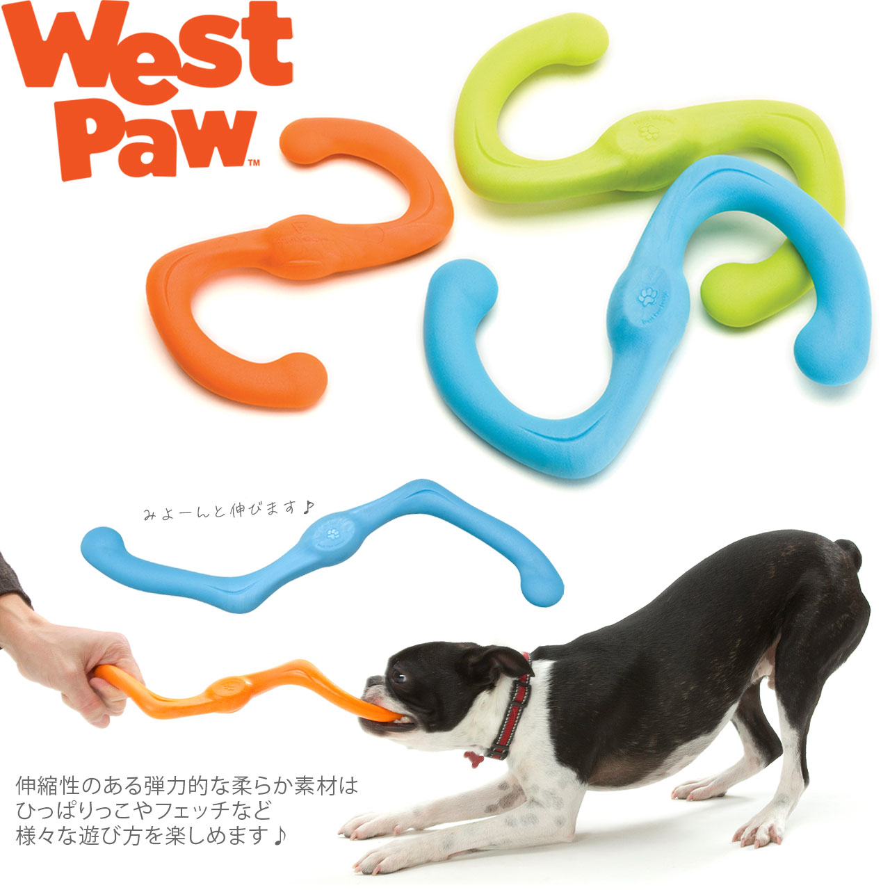 WestPawDesignBumiウエストパウデザインブーミ