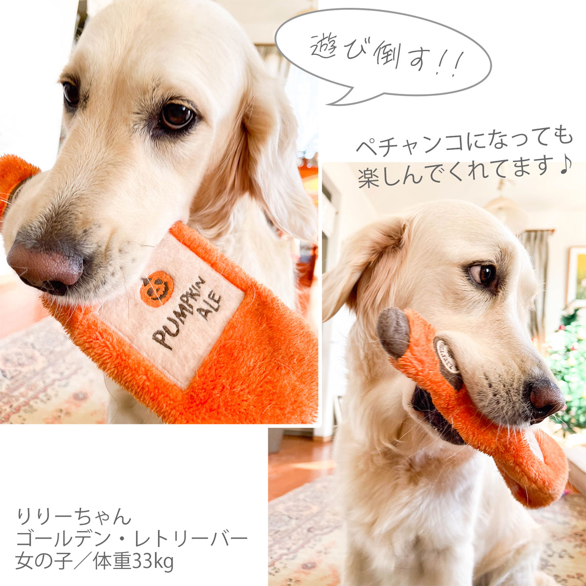 ジッピーポウズハロウィン ハッピーアワークラッシャーズ パンプキンエールりりー2