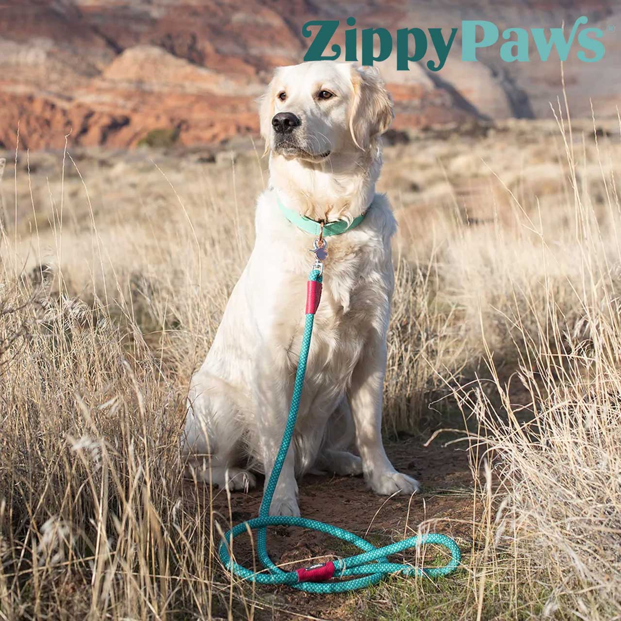 ZipppyPaws ジッピーパウズ モッズ エッセンシャル ロープリード