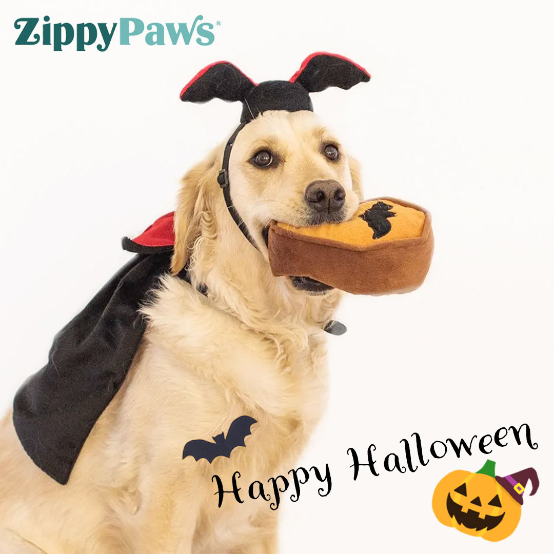 ZippyPawsジッピーポウズハロウィン コスチュームキット ドラキュラ