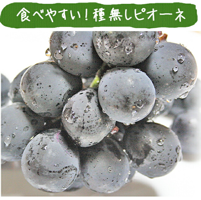 ピオーネ 種なしぶどう のお取り寄せ販売（通販） - 《公式》ときわ
