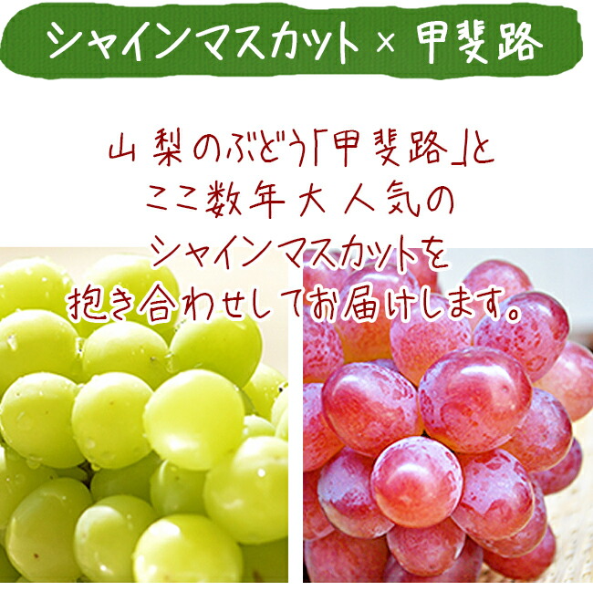 ����ϩ ���㥤��ޥ����å� ������碌 �����