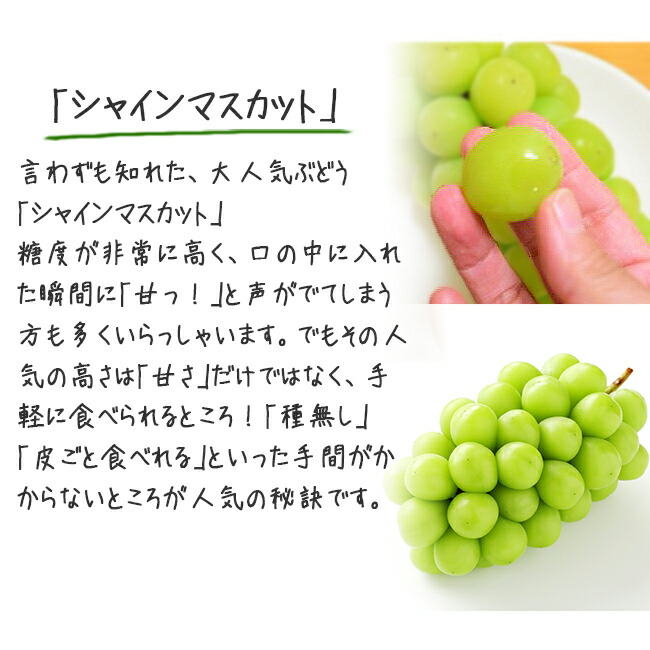 ����ϩ ���㥤��ޥ����å� ������碌 �����