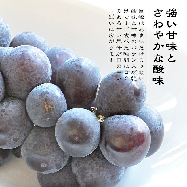 �������ࡡ����