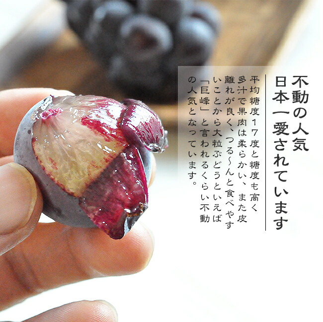 �������ࡡ����