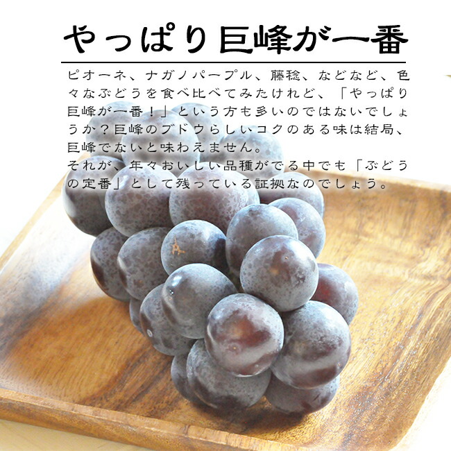 �������ࡡ����