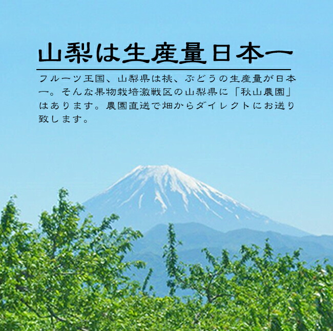 �������ࡡ����