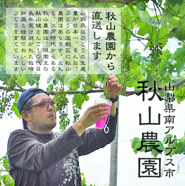 �������ࡡ����