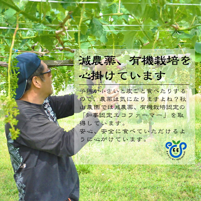 �������ࡡ����