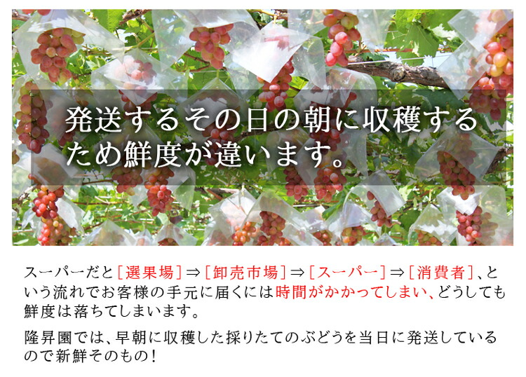 ������ δ���ࡡ����ϩ