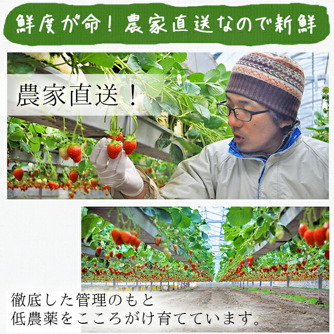 �������ʤޤ�Ҥ��