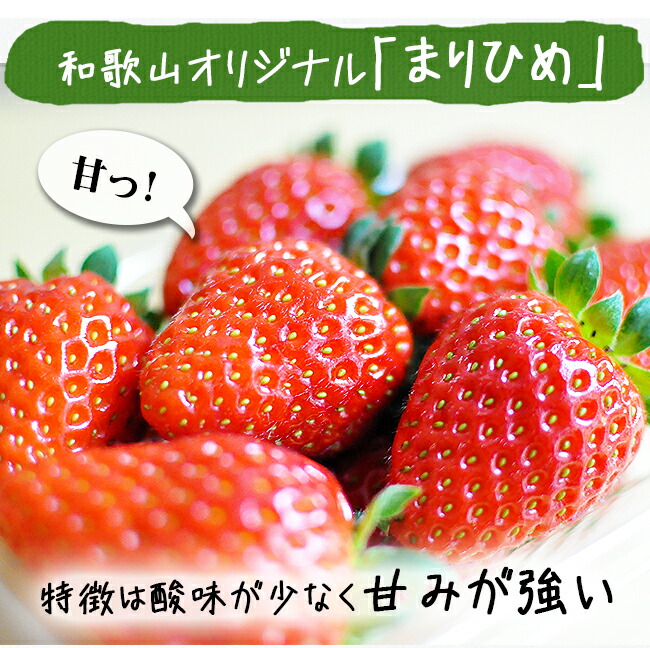 イチゴ（まりひめ）訳ありのお取り寄せ販売（通販）送料無料でお届け 農家直送