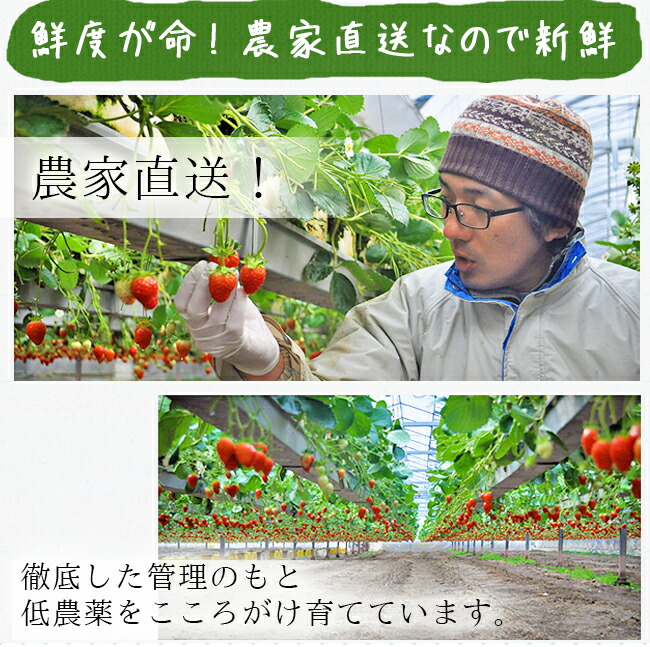 �������ʤޤ�Ҥ��