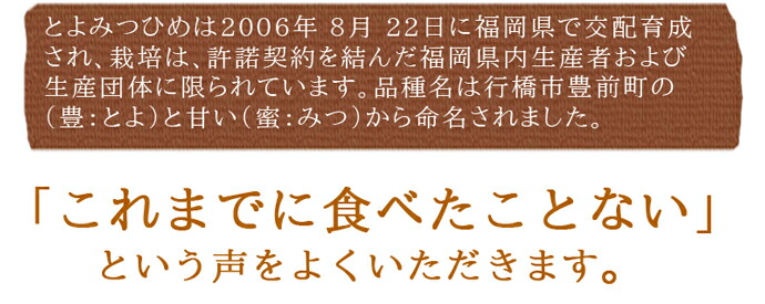 ������ࡡ��������