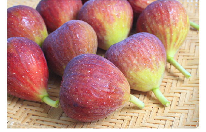 ������ࡡ��������