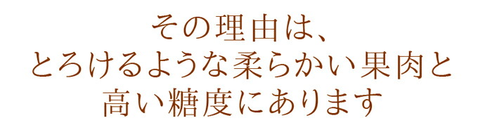 ������ࡡ��������