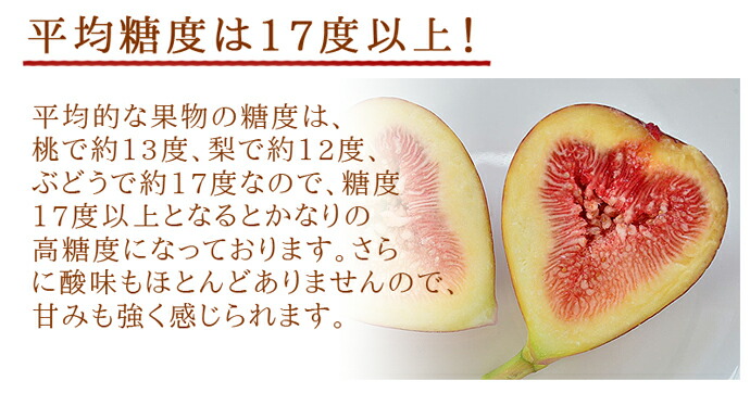 ������ࡡ��������