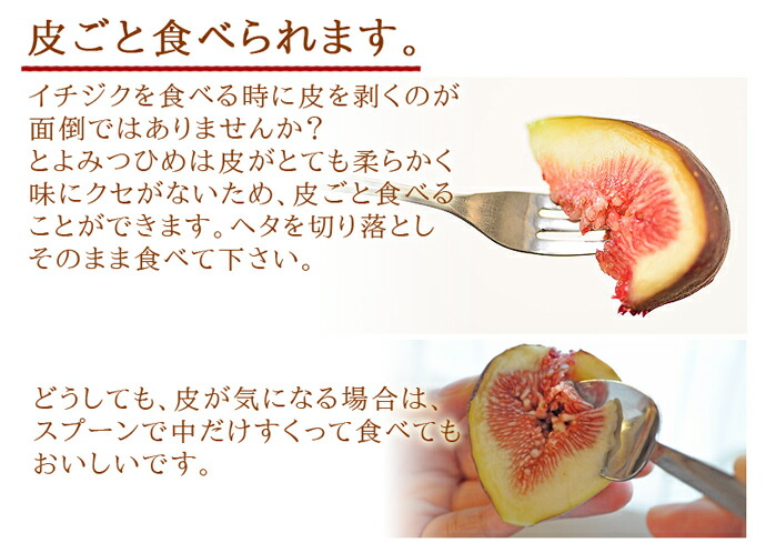 ������ࡡ��������